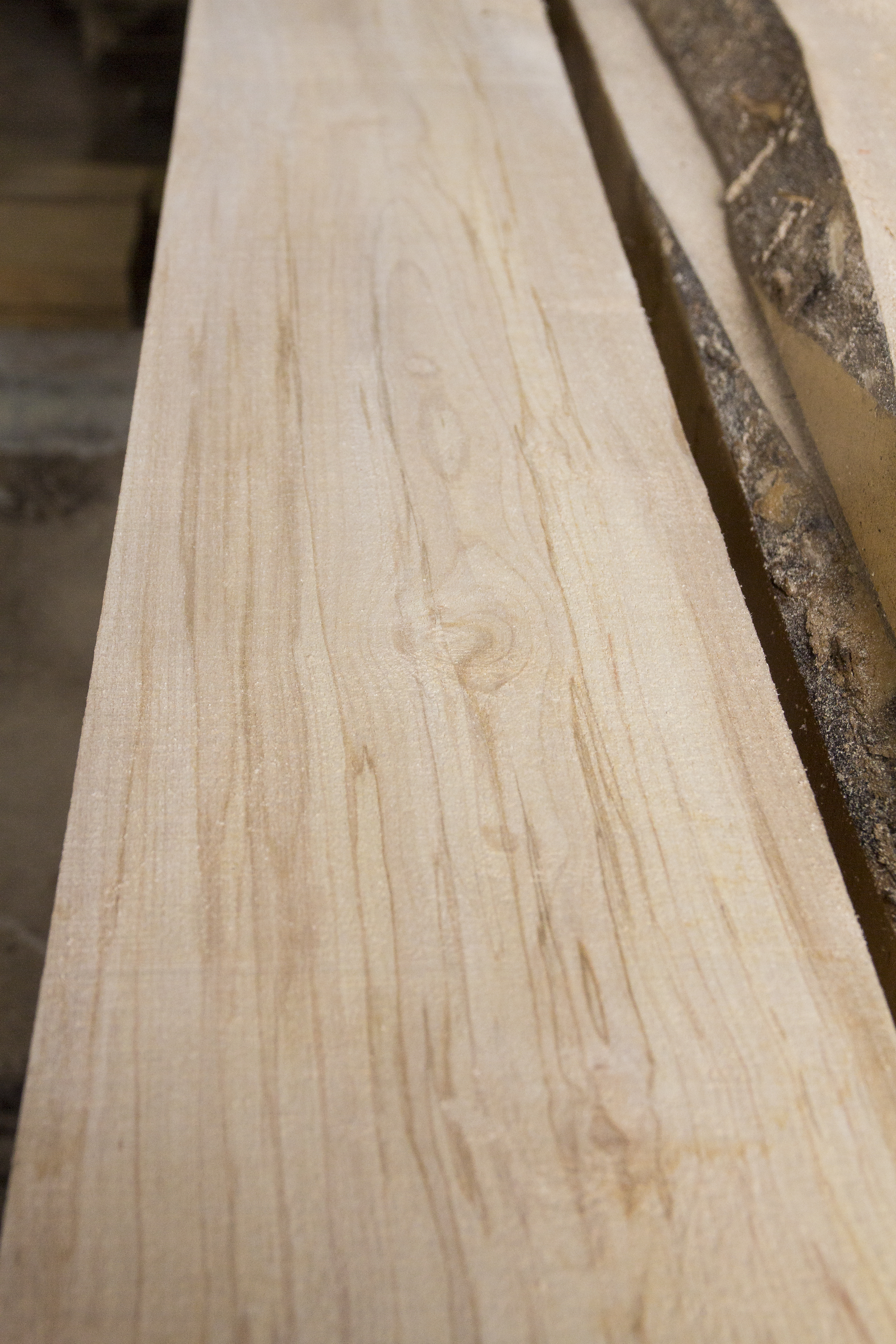 Esdoorn plank